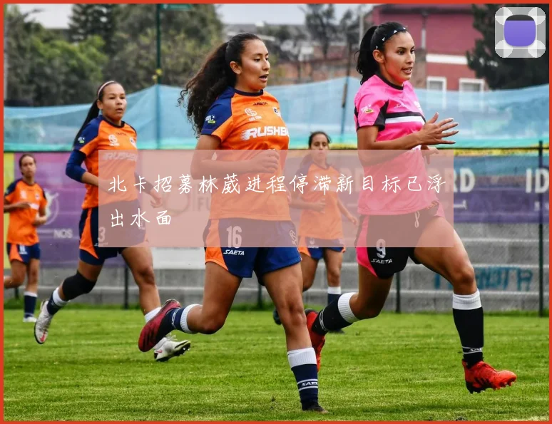北卡招募林葳进程停滞新目标已浮出水面