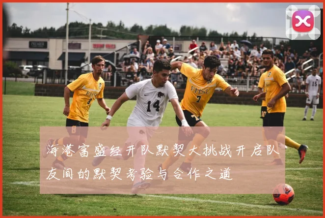 海港富盛经开队默契大挑战开启队友间的默契考验与合作之道